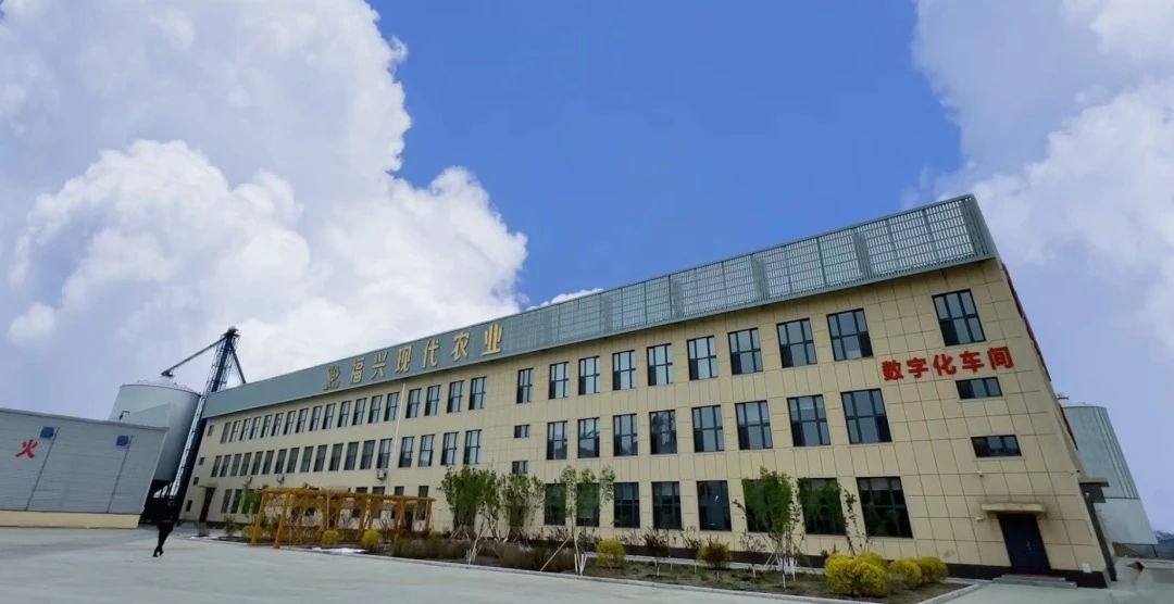 恒行6-品质新履历,专选恒行6