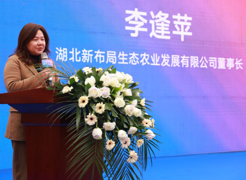 恒行6-品质新履历,专选恒行6