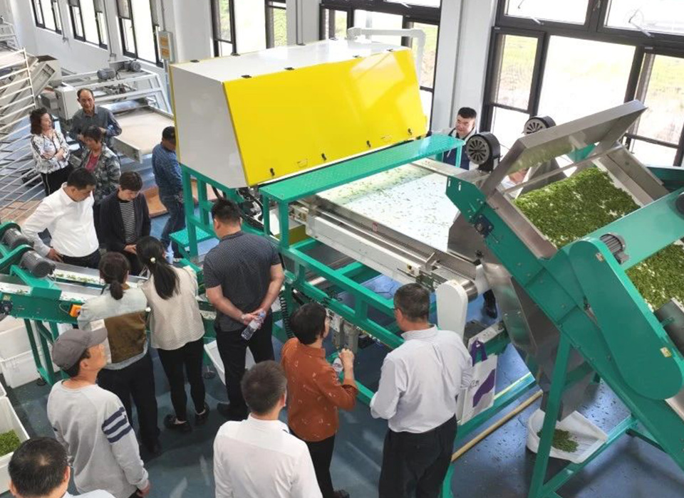 恒行6-品质新履历,专选恒行6