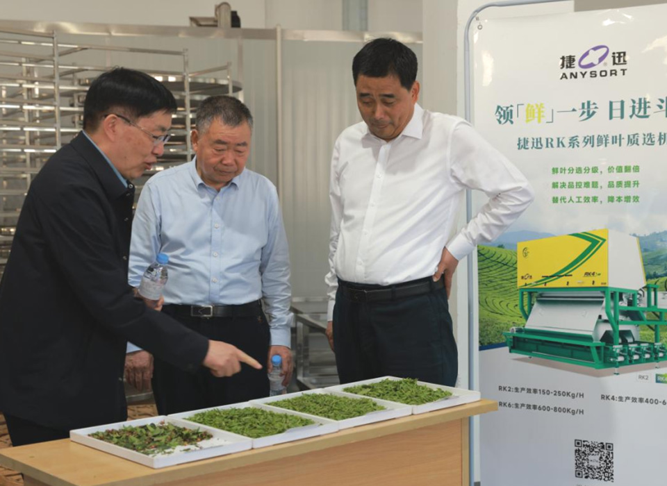 恒行6-品质新履历,专选恒行6