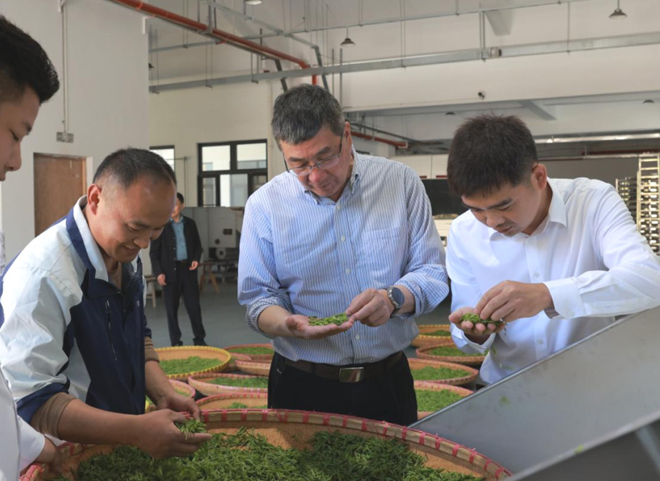 恒行6-品质新履历,专选恒行6