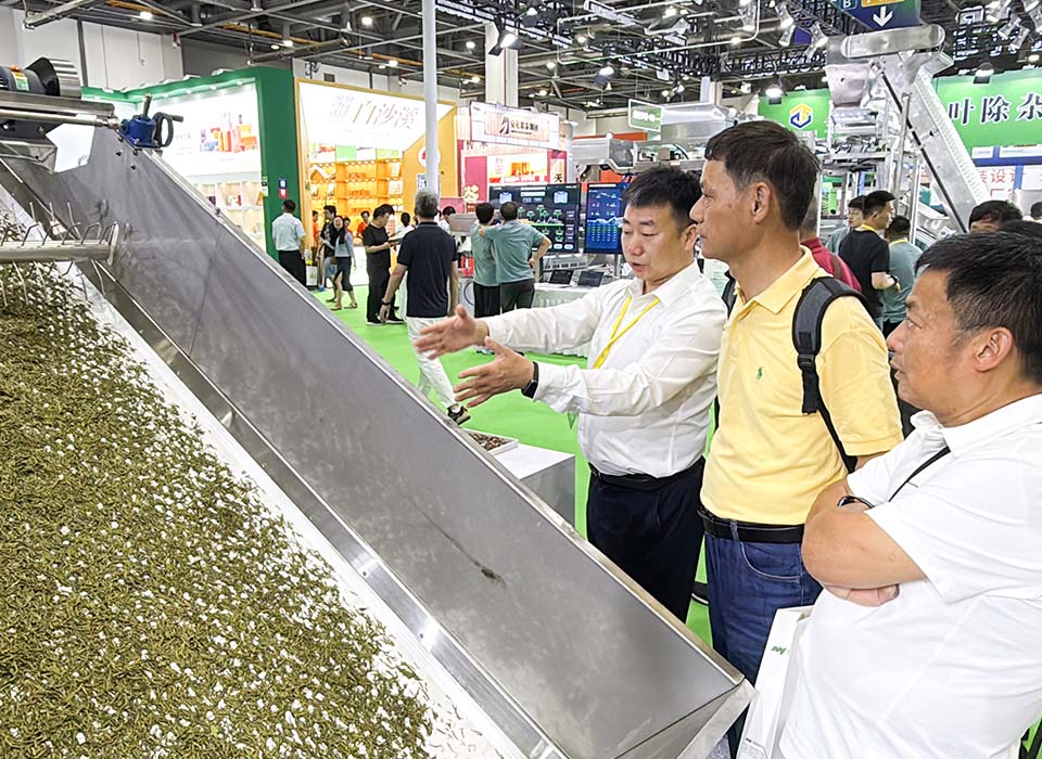 恒行6-品质新履历,专选恒行6