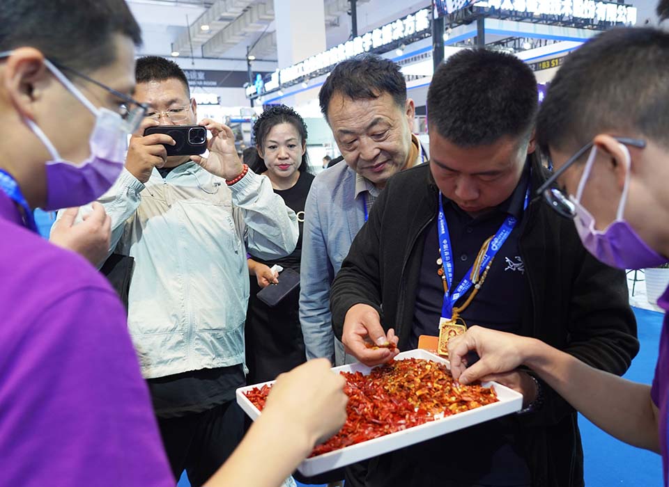 恒行6-品质新履历,专选恒行6