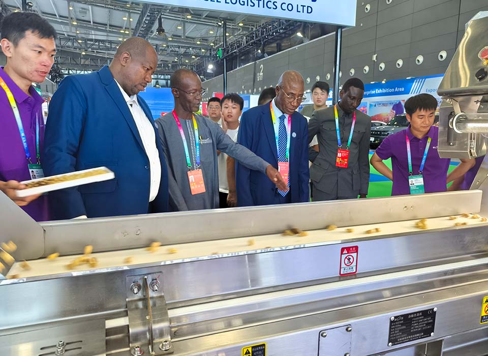 恒行6-品质新履历,专选恒行6