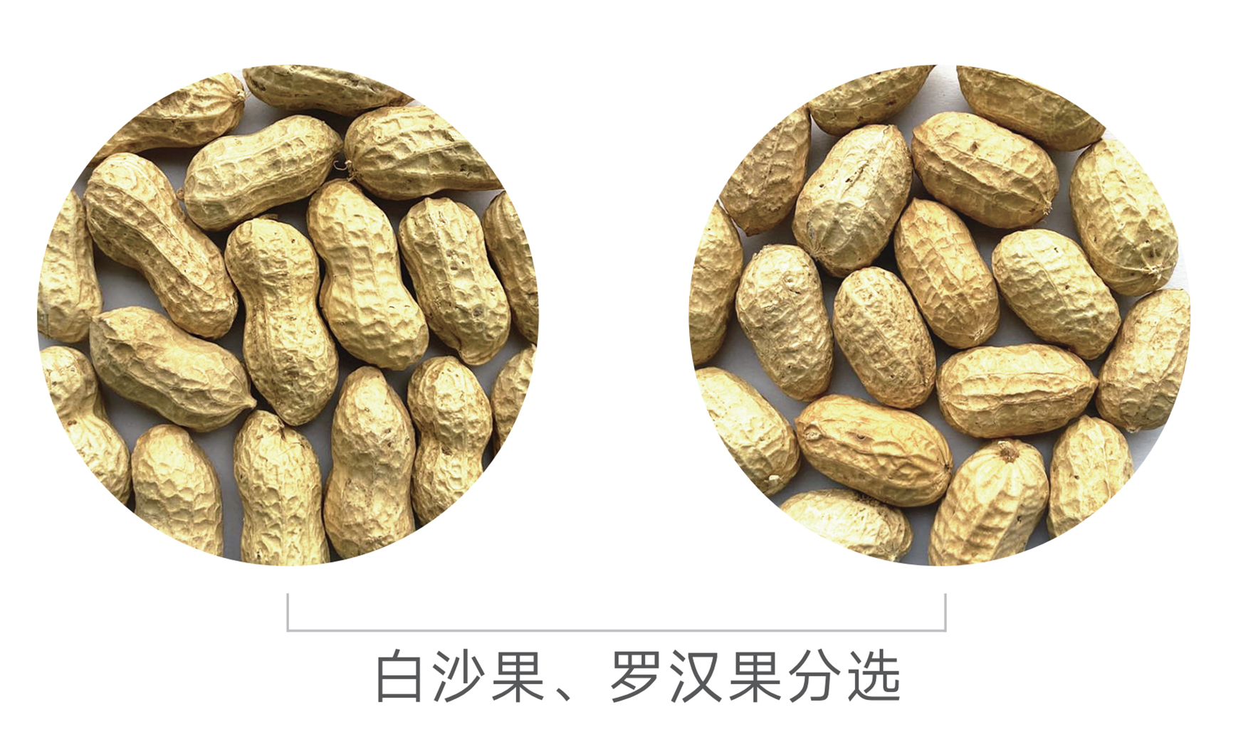 恒行6-品质新履历,专选恒行6