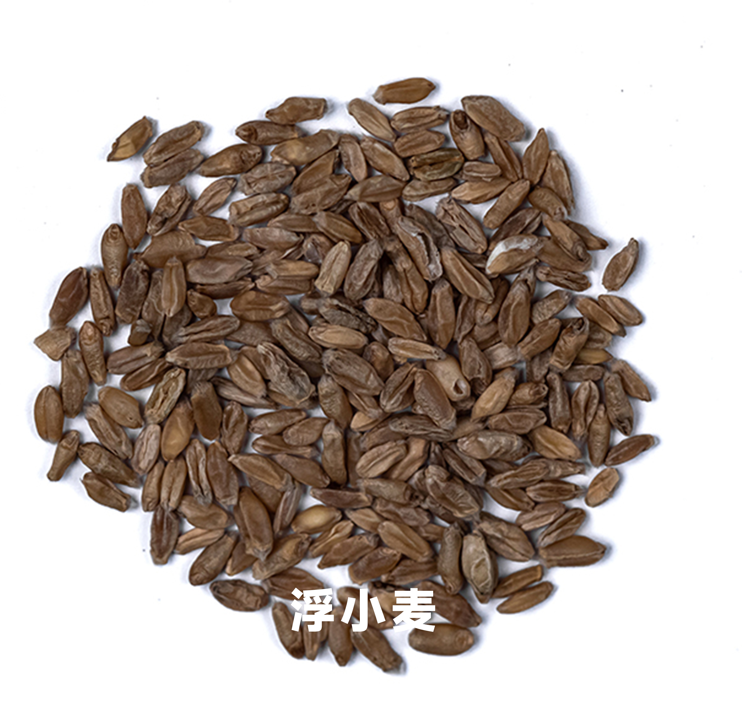 恒行6-品质新履历,专选恒行6