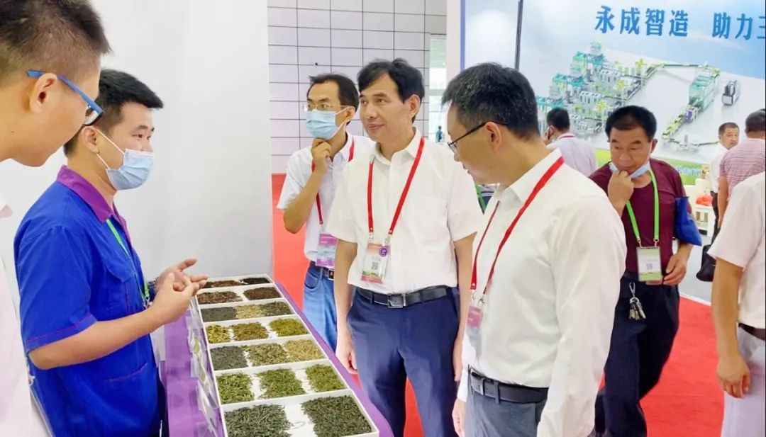 恒行6-品质新履历,专选恒行6